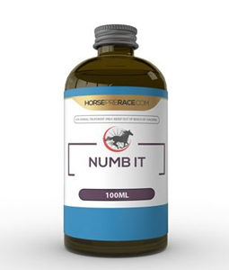 buy numb 100ml it for horse