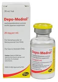 Depo-Medrol Injection for Dogs and Horses