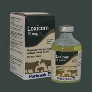 LOXICOM 20MG/ML