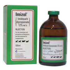Imizol Injection