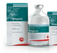 Meganyl