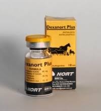 Dexanort Plus 10ml